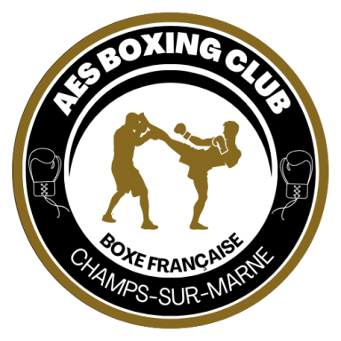 AES Boxing Club Champs sur marne